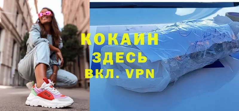 Cocaine FishScale  продажа наркотиков  Инта 